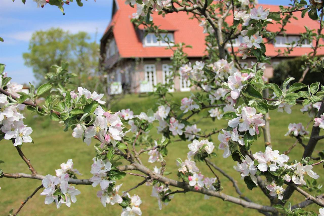 Landhaus Fuenfseen Экстерьер фото
